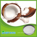 Natural hot sale coconut oil powder in stock